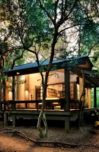 &Beyond Phinda Forest Lodge