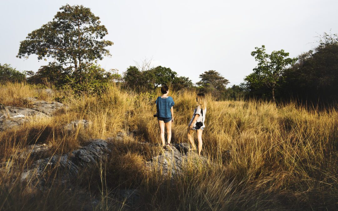 Rhino Walking Safaris South Africa