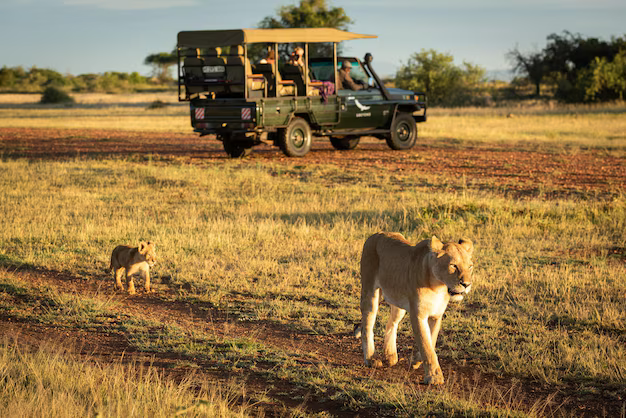 Luxury Kosher Safaris Designed for Unforgettable Journeys