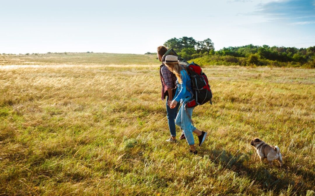 Walking Safaris in South Africa: An Authentic On-Foot Safari Experience